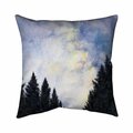 Fondo 26 x 26 in. Starry Sky In Forest-Double Sided Print Indoor Pillow FO2779418